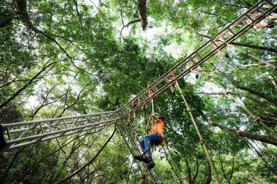 深圳这19体育注册些赛事超萌超燃超多名场面(图4)