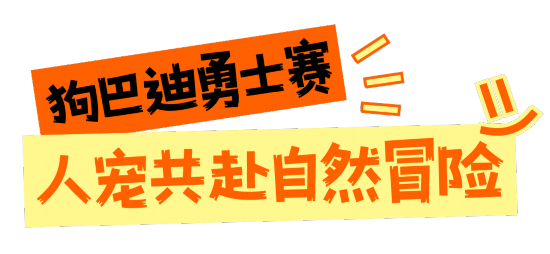 深圳这19体育注册些赛事超萌超燃超多名场面(图5)