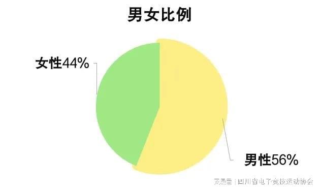 19体育入口2024四川省电子竞技产业报告(图7)
