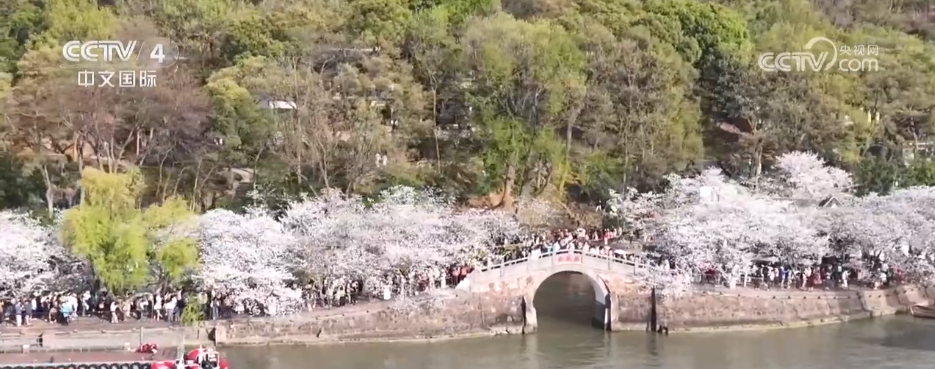 19体育app赛事聚“流量”经济添“增量” 以“赛”为媒激发多元消费新活力(图1)
